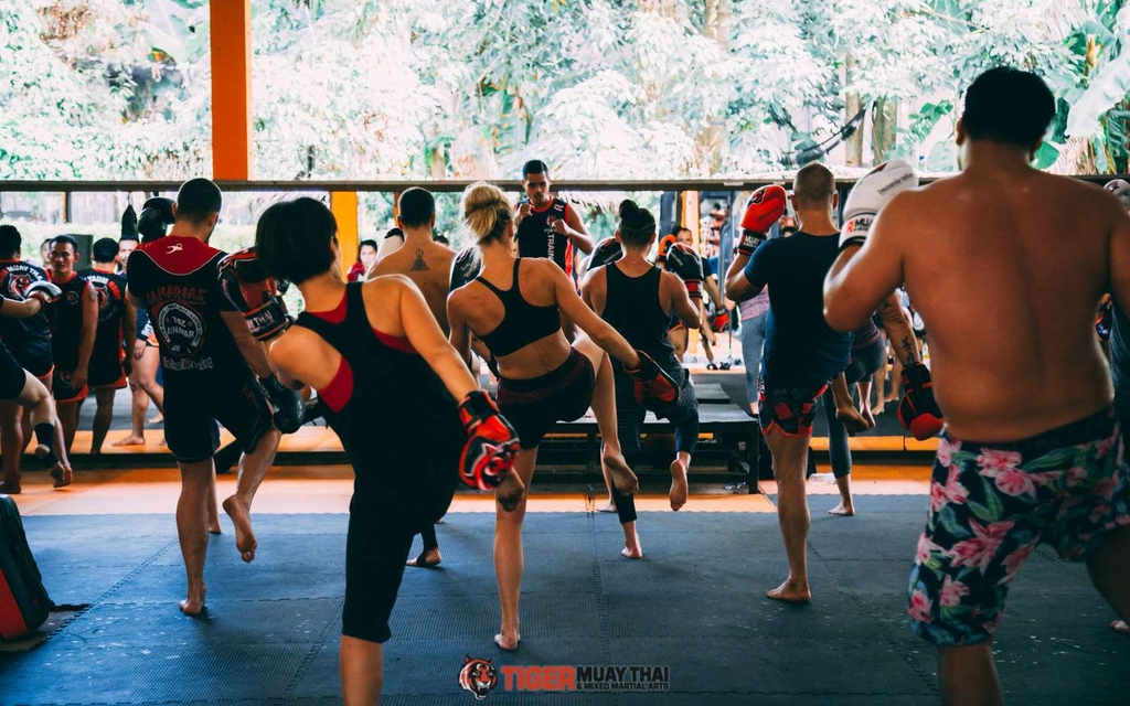 TIGER MUAY THAI Thailand | Ein Zuhause für professionelle MMA Athleten Enthusiasten &  Bild 1 von 4