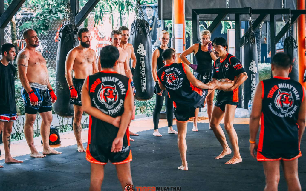 TIGER MUAY THAI Thailand | Ein Zuhause für professionelle MMA Athleten Enthusiasten &  Bild 2 von 4