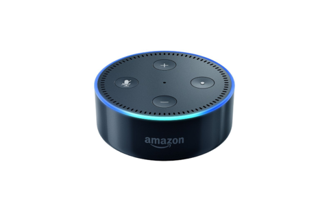 Amazon Echo Dot 2. Gen