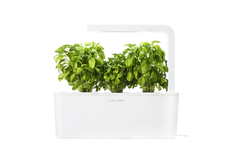 Click & Grow Smart Garden Kit 