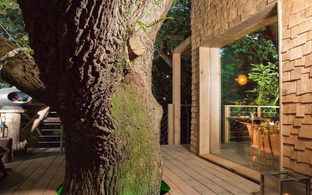 Das Woodsman's Baumhaus  Image 2 from 7