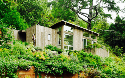 Die Mill Valley Cabins 