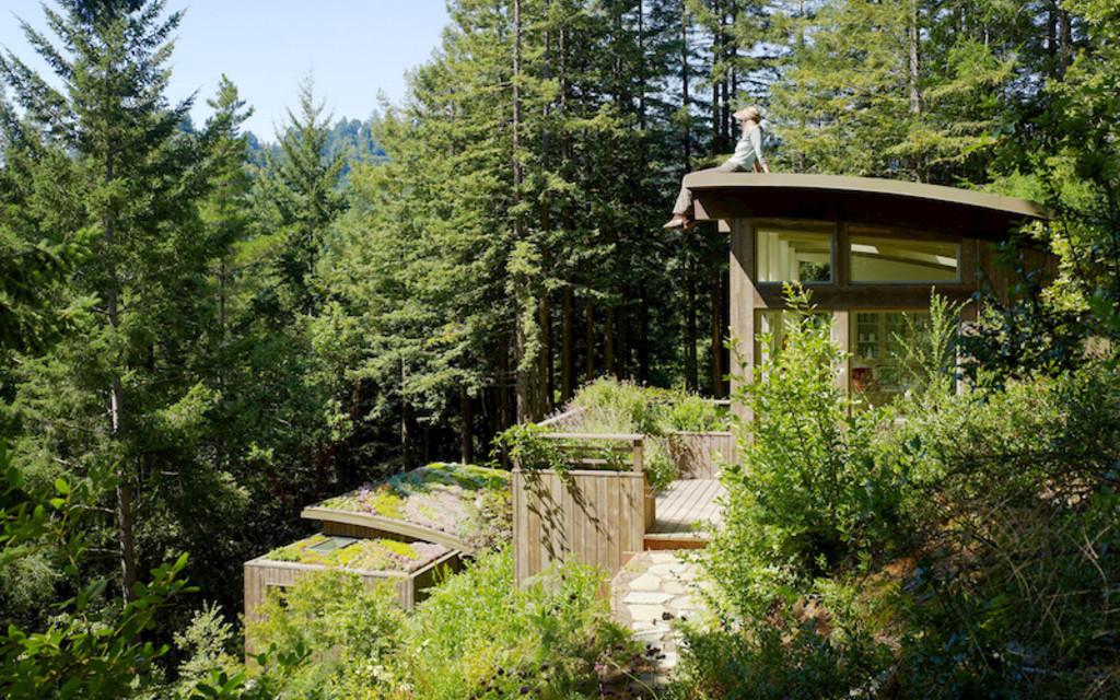 Die Mill Valley Cabins  Image 1 from 6