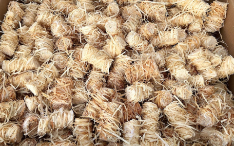 10 Kg Zündwolli Anzünder aus Holzwolle und Wachs 