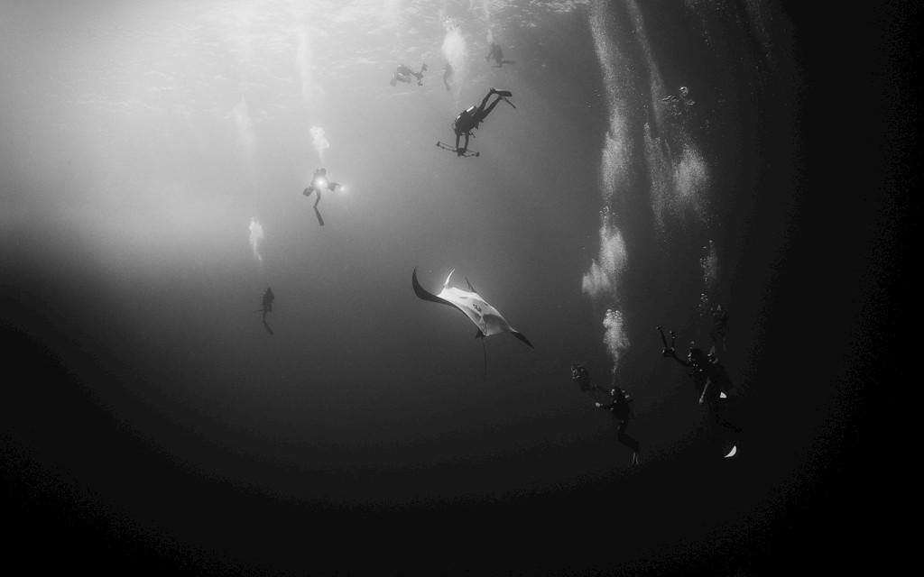 Underwater Realm Project Bild 5 von 15