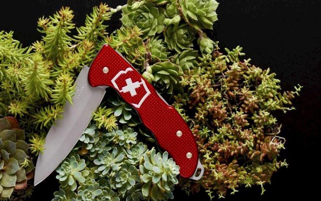 VICTORINOX | Taschenmesser Hunter Pro Alox  Bild 5 von 5