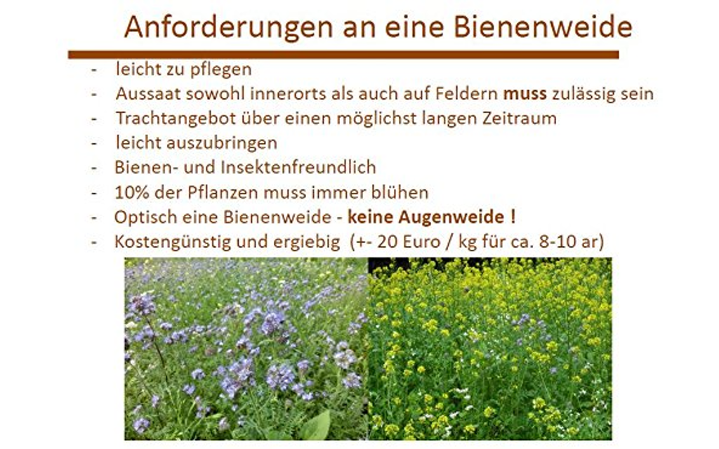 BLÜHKING Bienenweide Nektar & Pollen Blühmischung  Image 1 from 7
