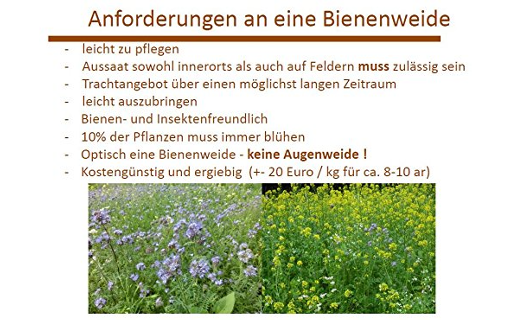 BLÜHKING Bienenweide Nektar & Pollen Blühmischung  Bild 1 von 7