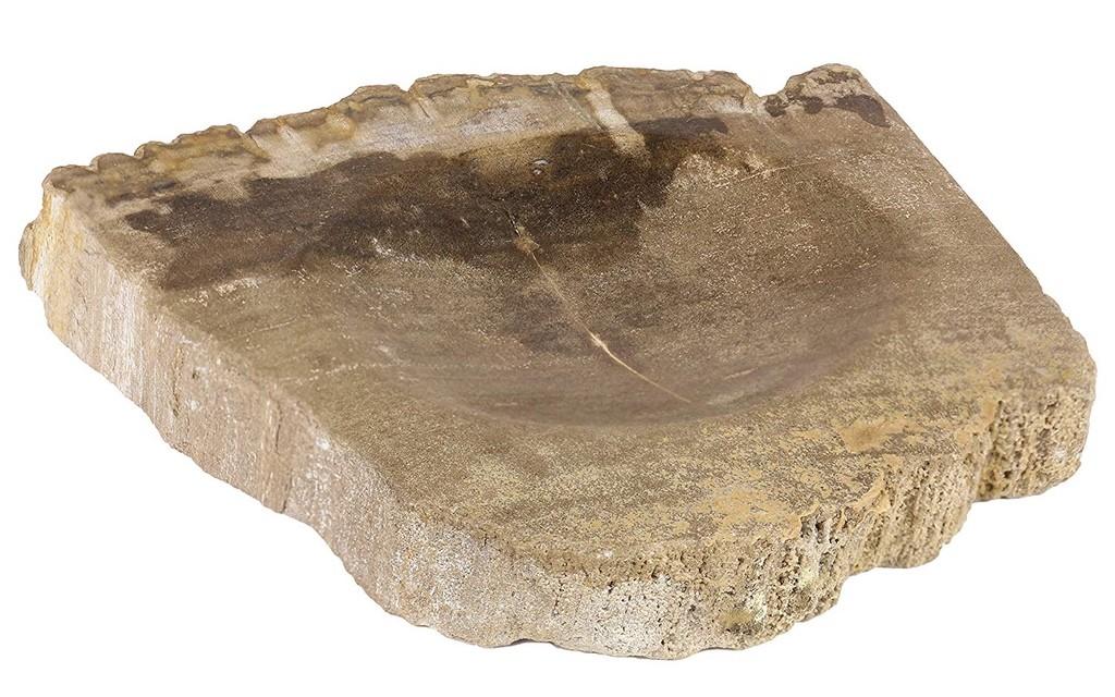 Oriental Galerie Schale Fossil Versteinertes Holz Nr. 1 Bild 1 von 3