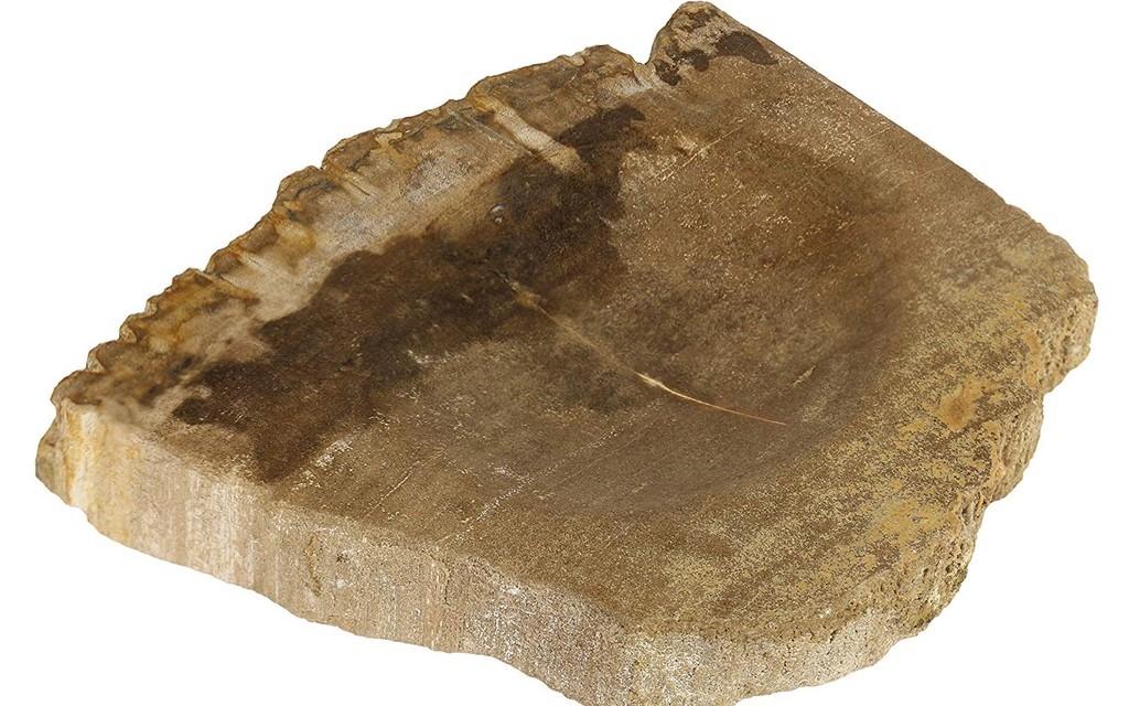 Oriental Galerie Schale Fossil Versteinertes Holz Nr. 1 Image 2 from 3