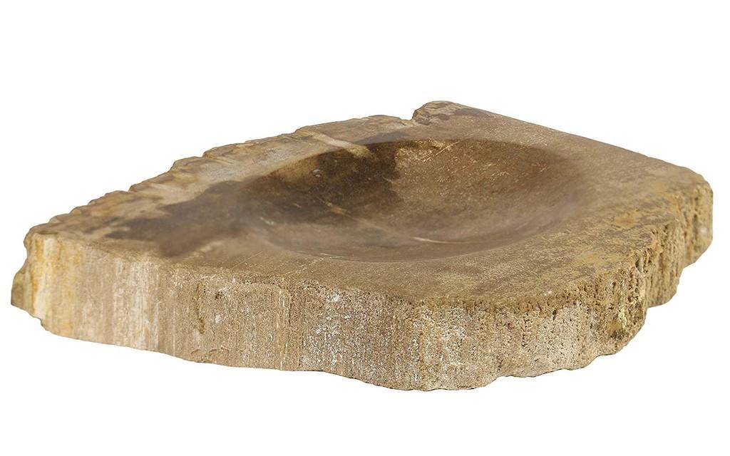 Oriental Galerie Schale Fossil Versteinertes Holz Nr. 1 Image 3 from 3