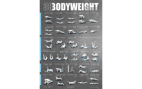 WINDHUND 30 Bodyweight DIN A1 Übungsposter 