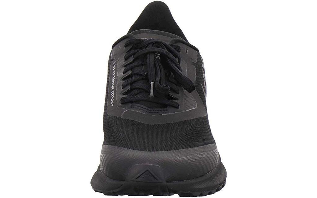 Nike Herren Zoom Pegasus 36 Trail GTX  Image 2 from 3