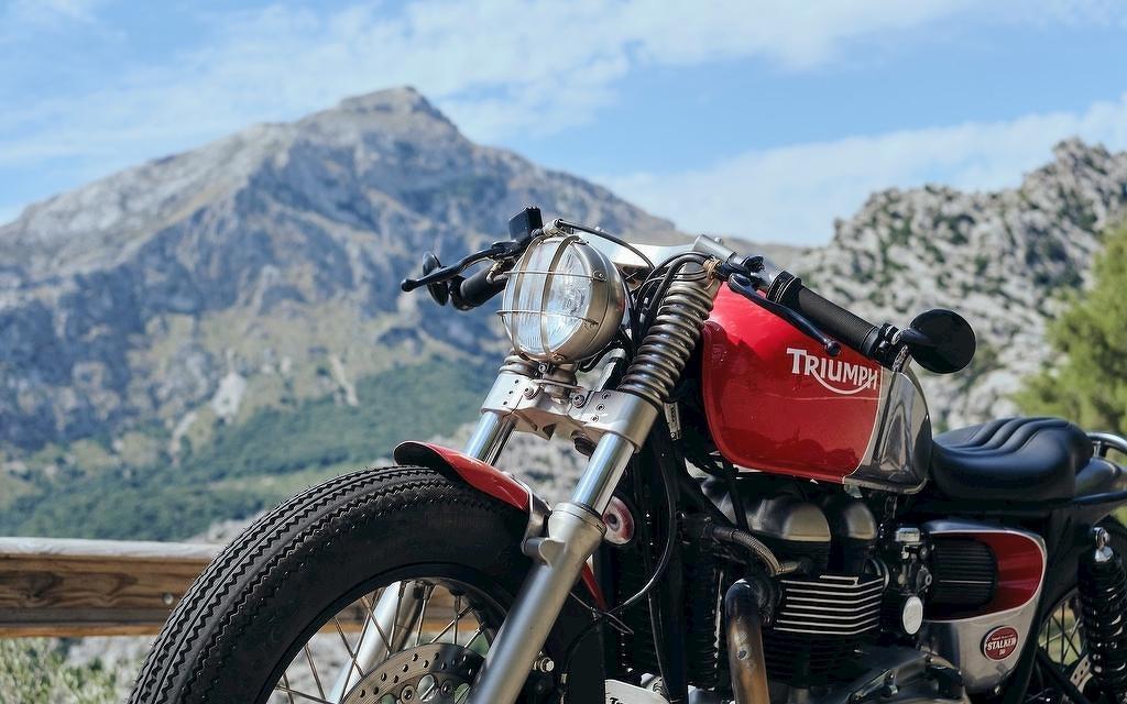 Triumph Thruxton 900 Stalker Bild 5 von 9