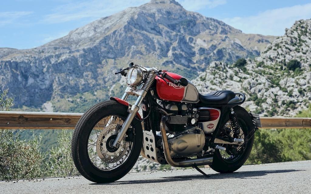 Triumph Thruxton 900 Stalker Bild 8 von 9