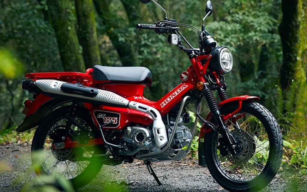 HONDA | CT 125 HUNTER CUB Image 5 from 6