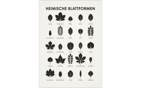 Posterlounge | Heimische Blattformen 