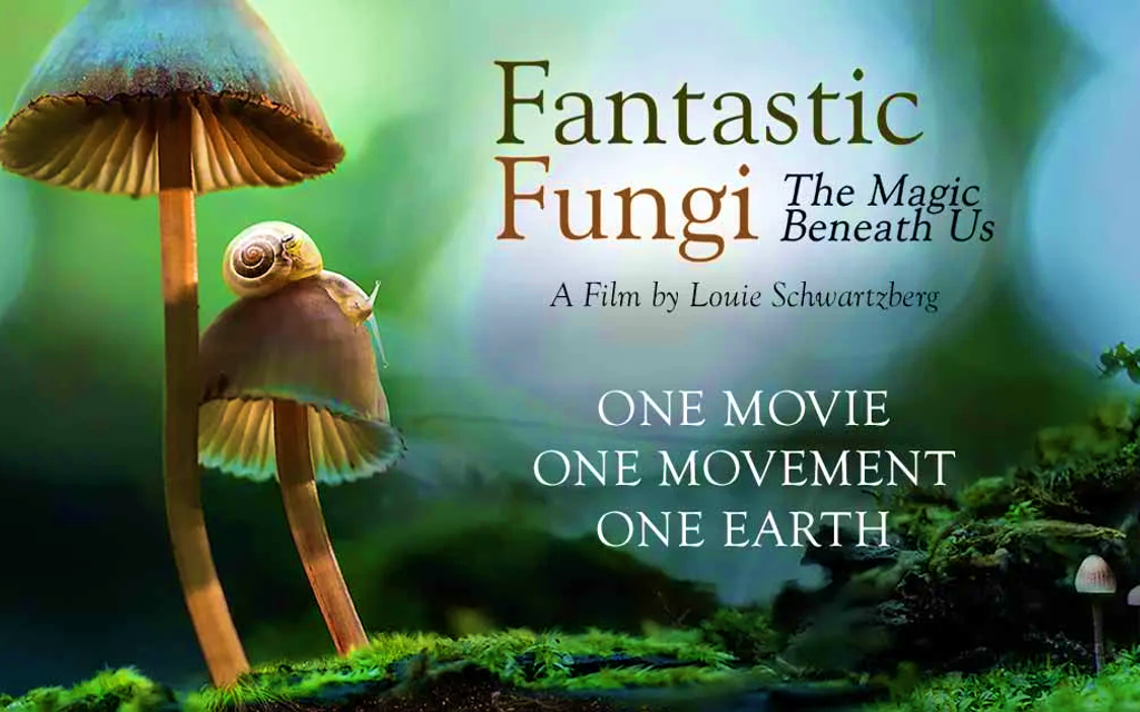 FILM TIPP | FANTASTISCHE PILZE - Die magische Welt zu unseren Füßen Bild 9 von 17