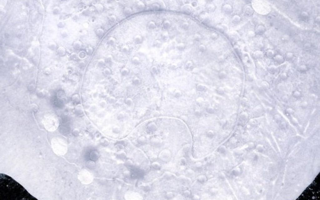 Eisformationen gefrorener Methanblasen Bild 10 von 12