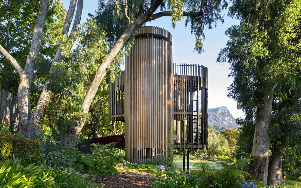 TREE HOUSE Constantia | Wald Lichtung & Vertikal Geometrie Image 6 from 10