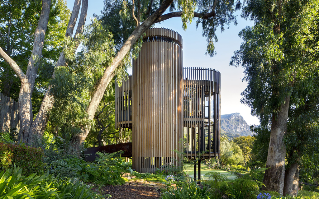 TREE HOUSE Constantia | Wald Lichtung & Vertikal Geometrie Bild 6 von 10