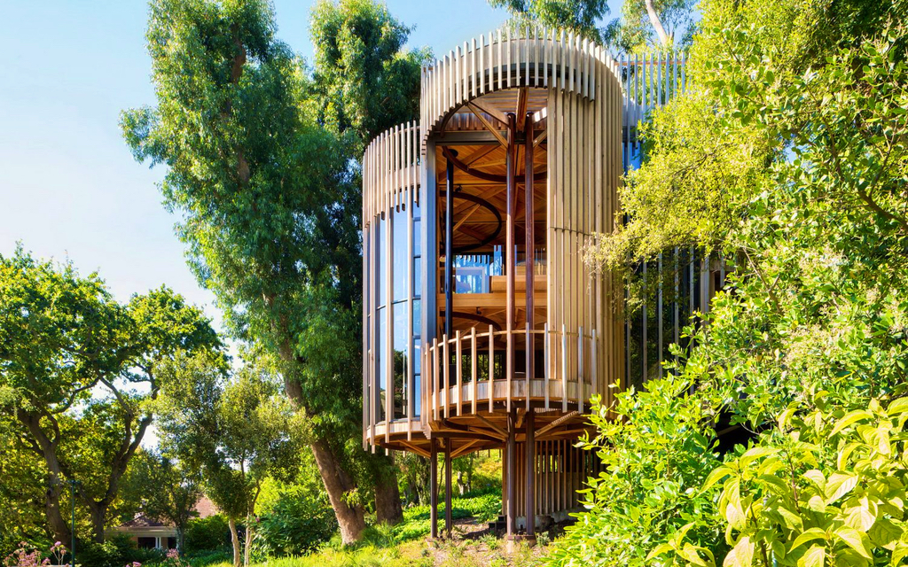 TREE HOUSE Constantia | Wald Lichtung & Vertikal Geometrie