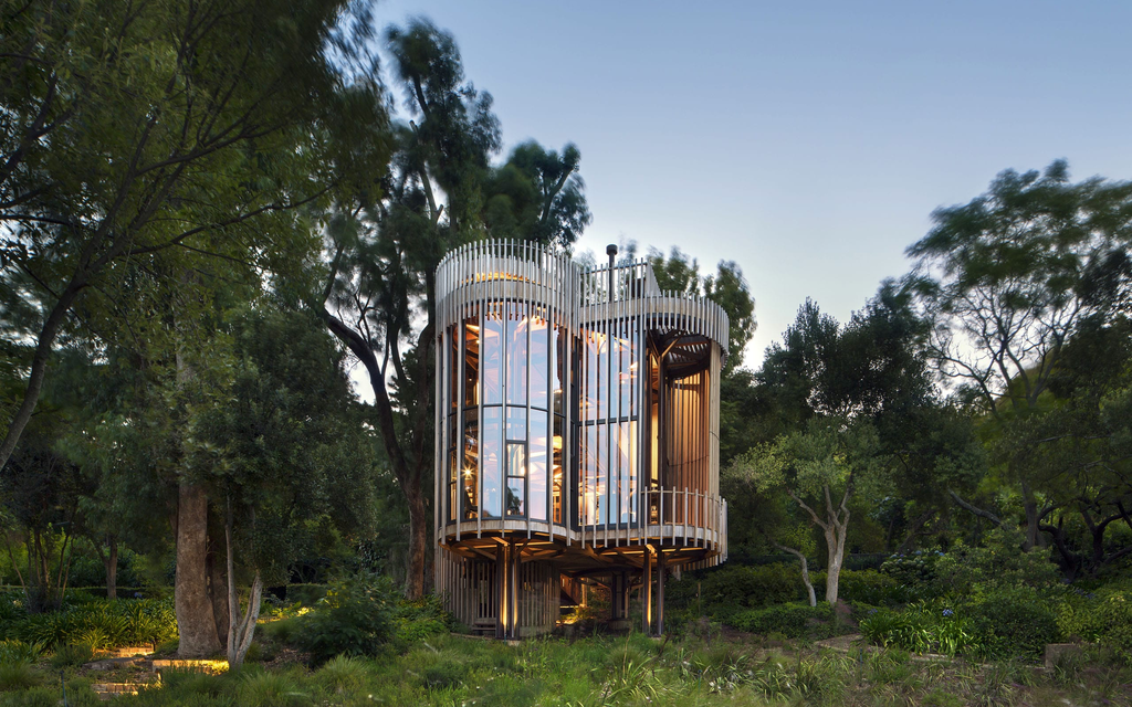 TREE HOUSE Constantia | Wald Lichtung & Vertikal Geometrie Image 9 from 10