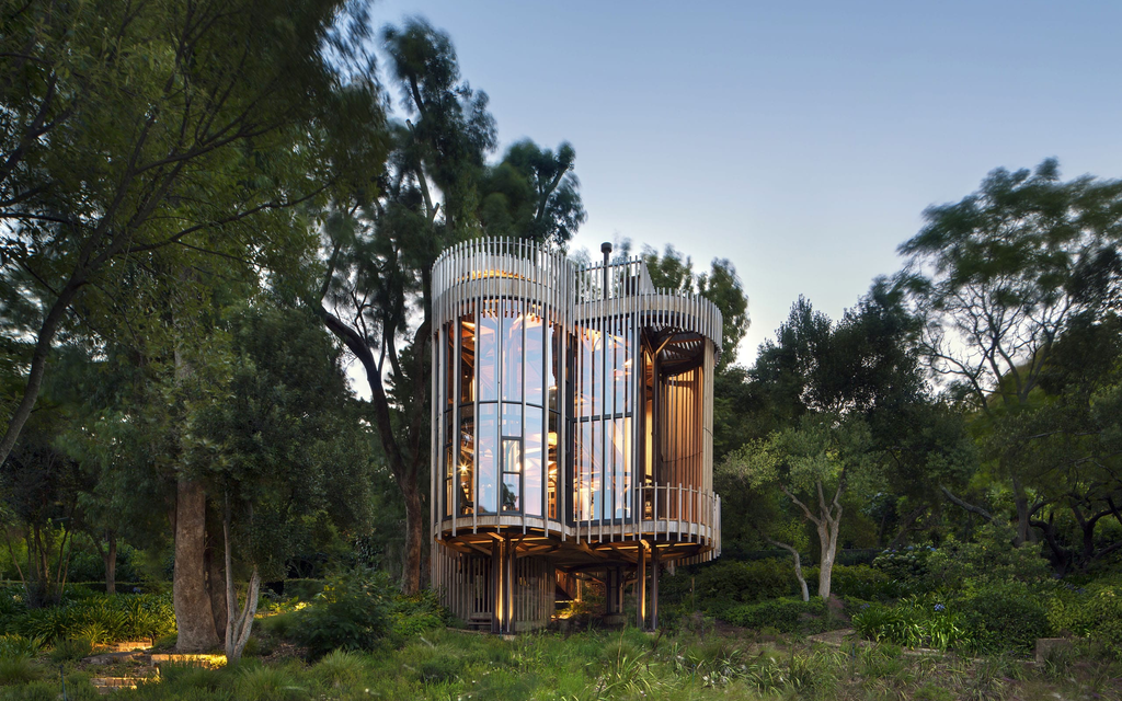 TREE HOUSE Constantia | Wald Lichtung & Vertikal Geometrie Bild 9 von 10